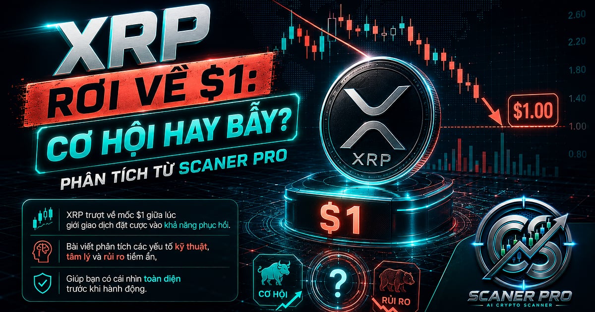 XRP rơi về $1: Cơ hội hay bẫy? Phân tích từ Scanner Pro
